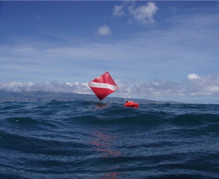 while-boating-you-see-a-red-flag-with-white-diagonal-stripe-what-does