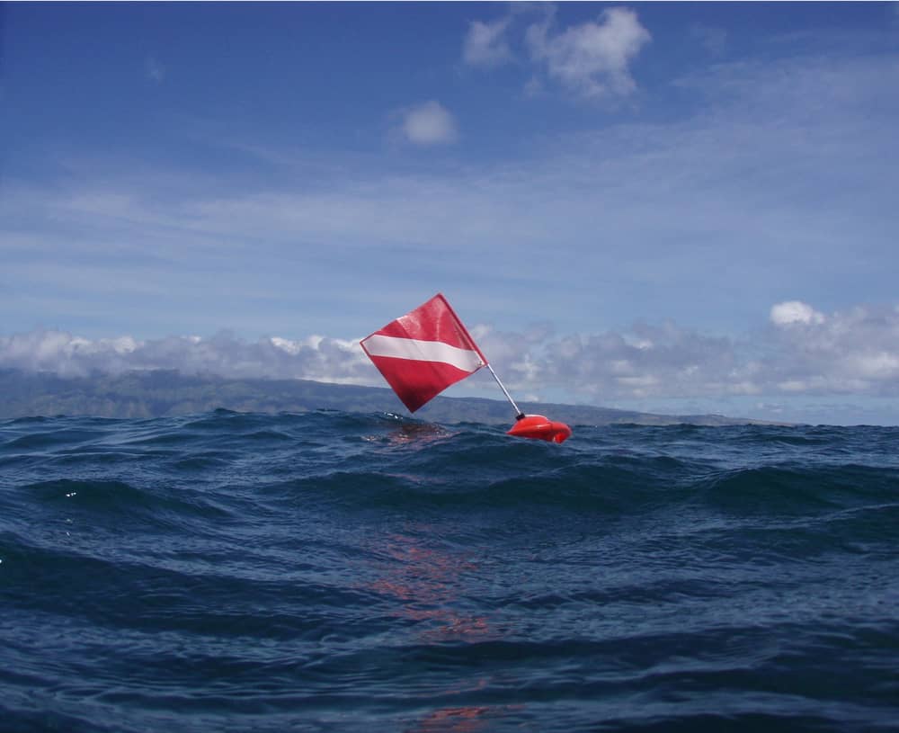 While Boating You See A Red Flag With White Diagonal Stripe What Does 