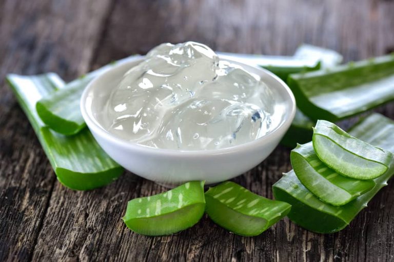 does-aloe-vera-gel-expire-globo-guide