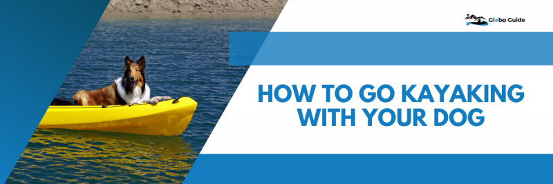 How To Go Kayaking With Your Dog